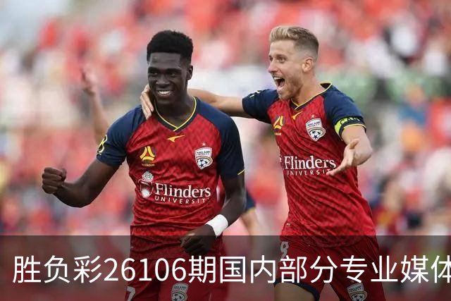 胜负彩26106期国内部分专业媒体复式推荐总汇